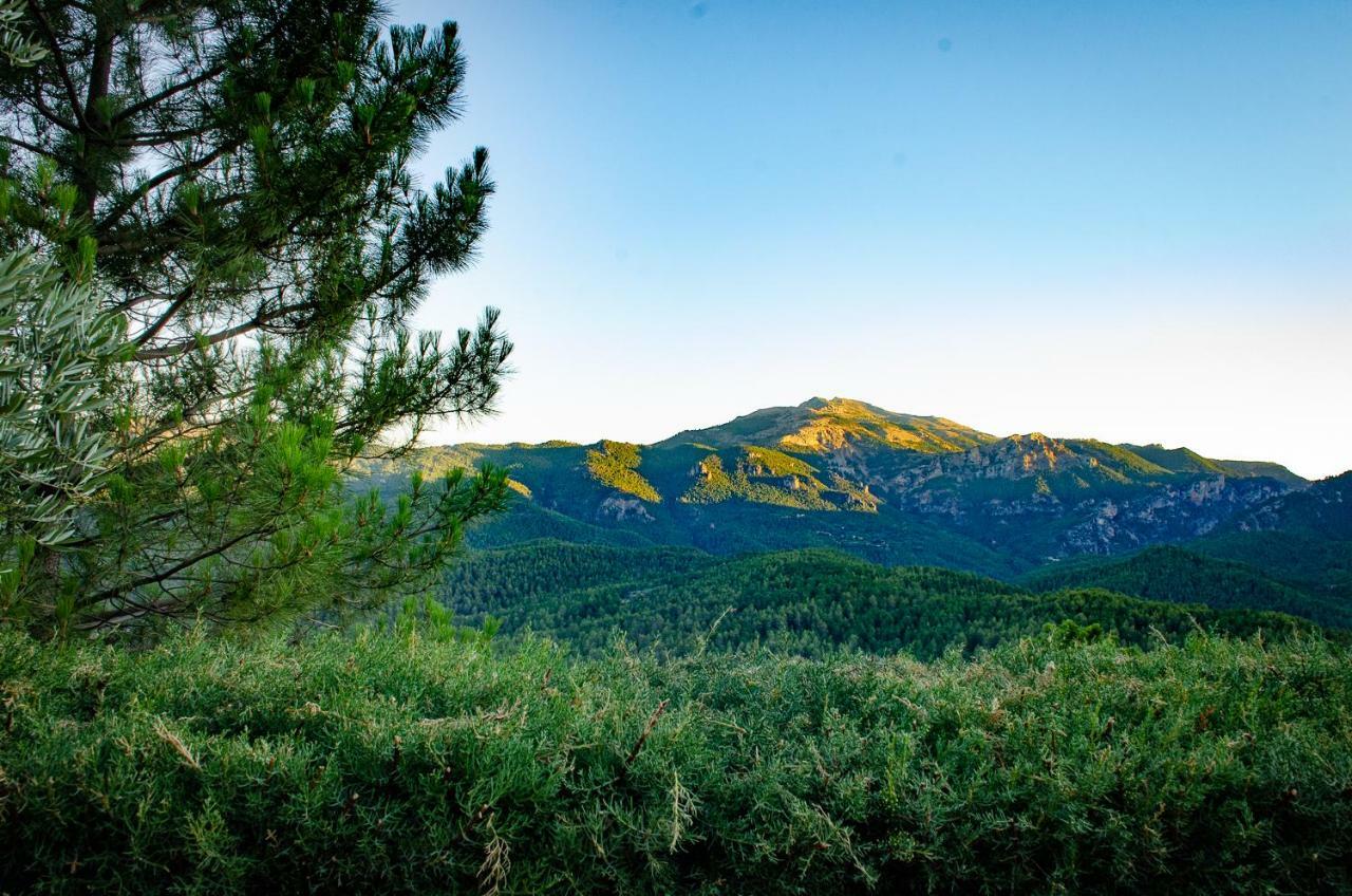 Casas Rurales Mirador Del Mundo Yeste Dış mekan fotoğraf