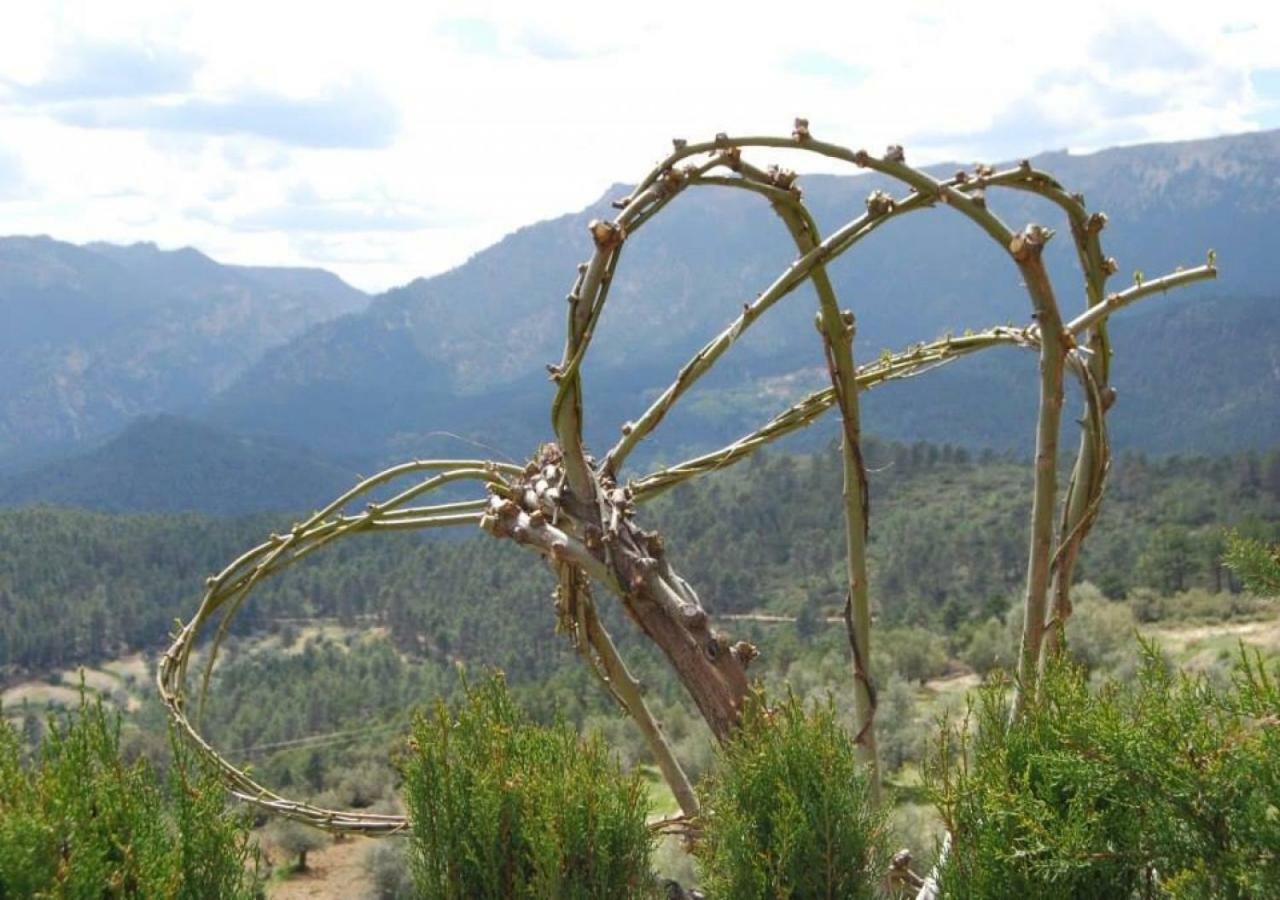 Casas Rurales Mirador Del Mundo Yeste Dış mekan fotoğraf