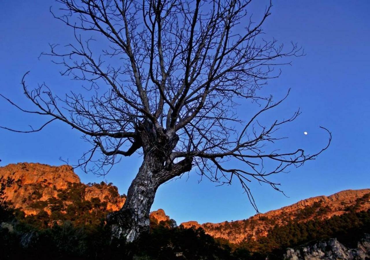Casas Rurales Mirador Del Mundo Yeste Dış mekan fotoğraf
