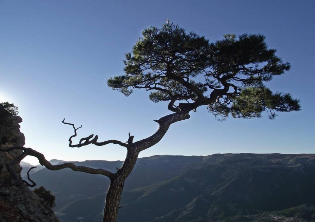Casas Rurales Mirador Del Mundo Yeste Dış mekan fotoğraf
